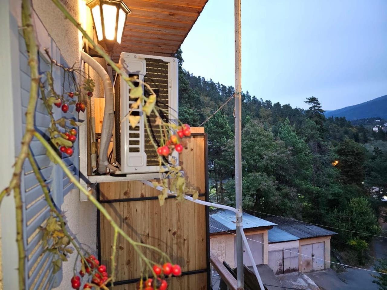 Guest House Likani 2017 Bordzjomi Kamer foto