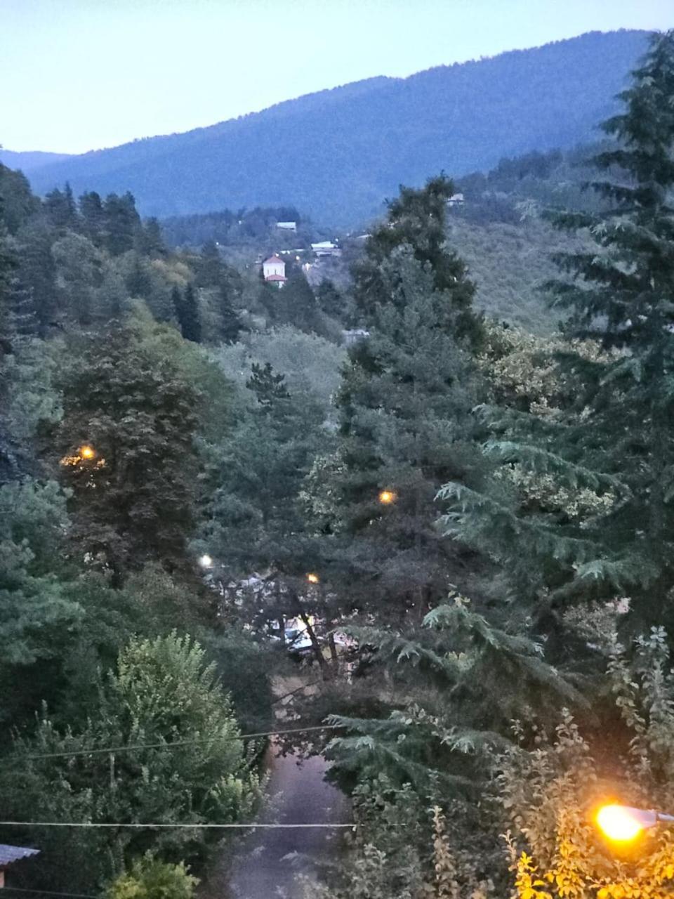 Guest House Likani 2017 Bordzjomi Kamer foto
