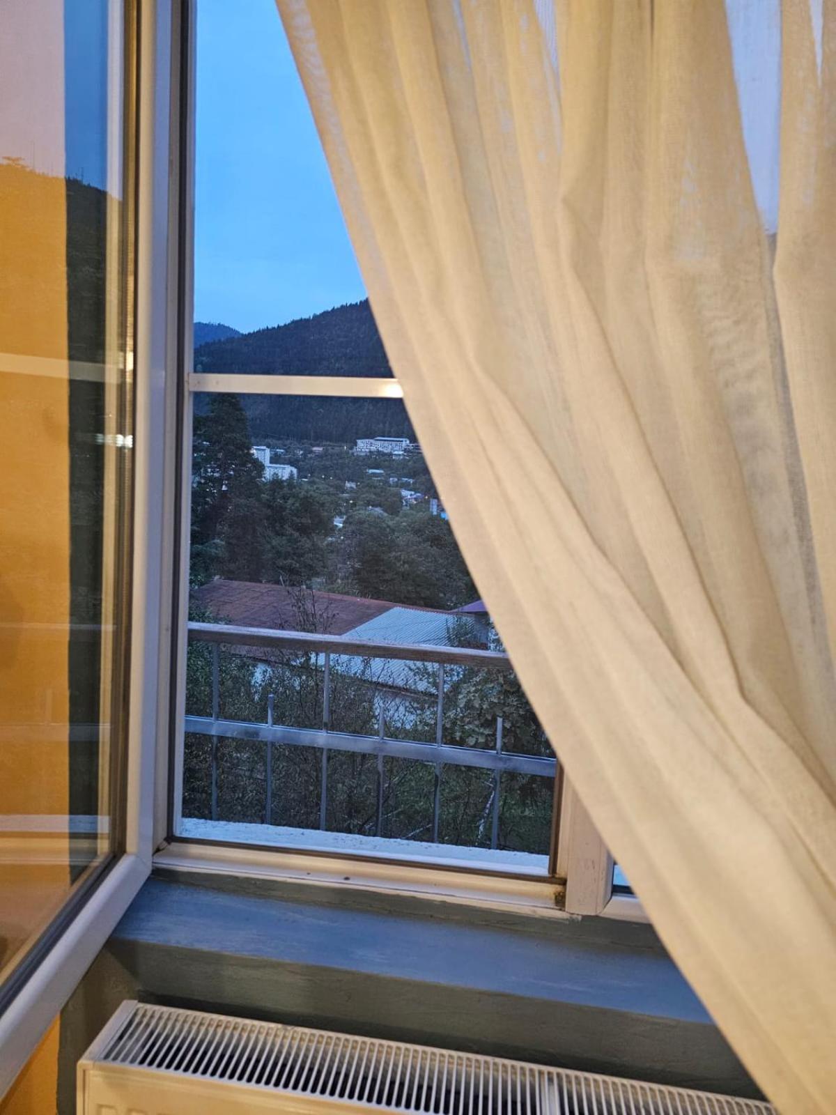 Guest House Likani 2017 Bordzjomi Kamer foto