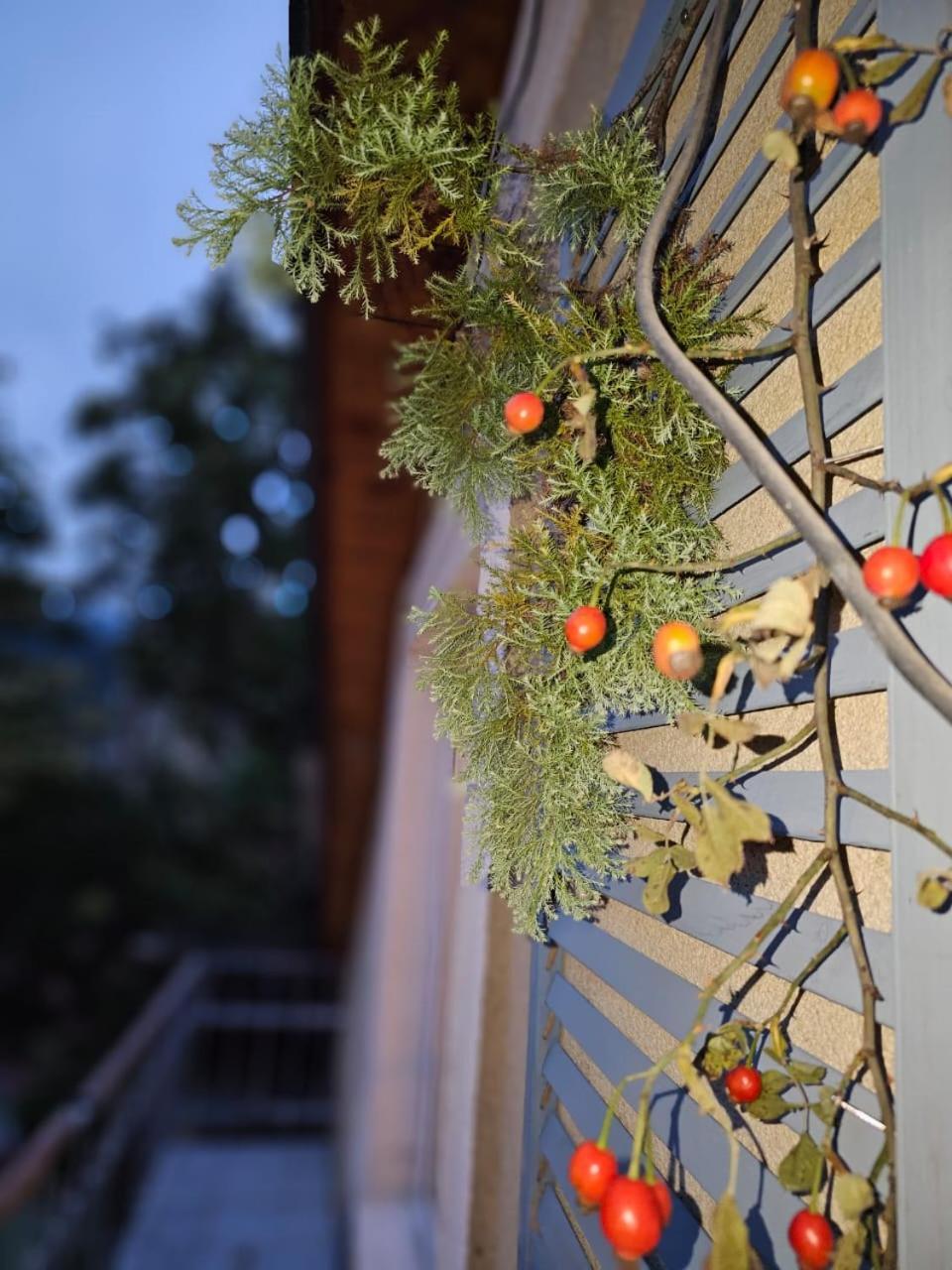 Guest House Likani 2017 Bordzjomi Kamer foto