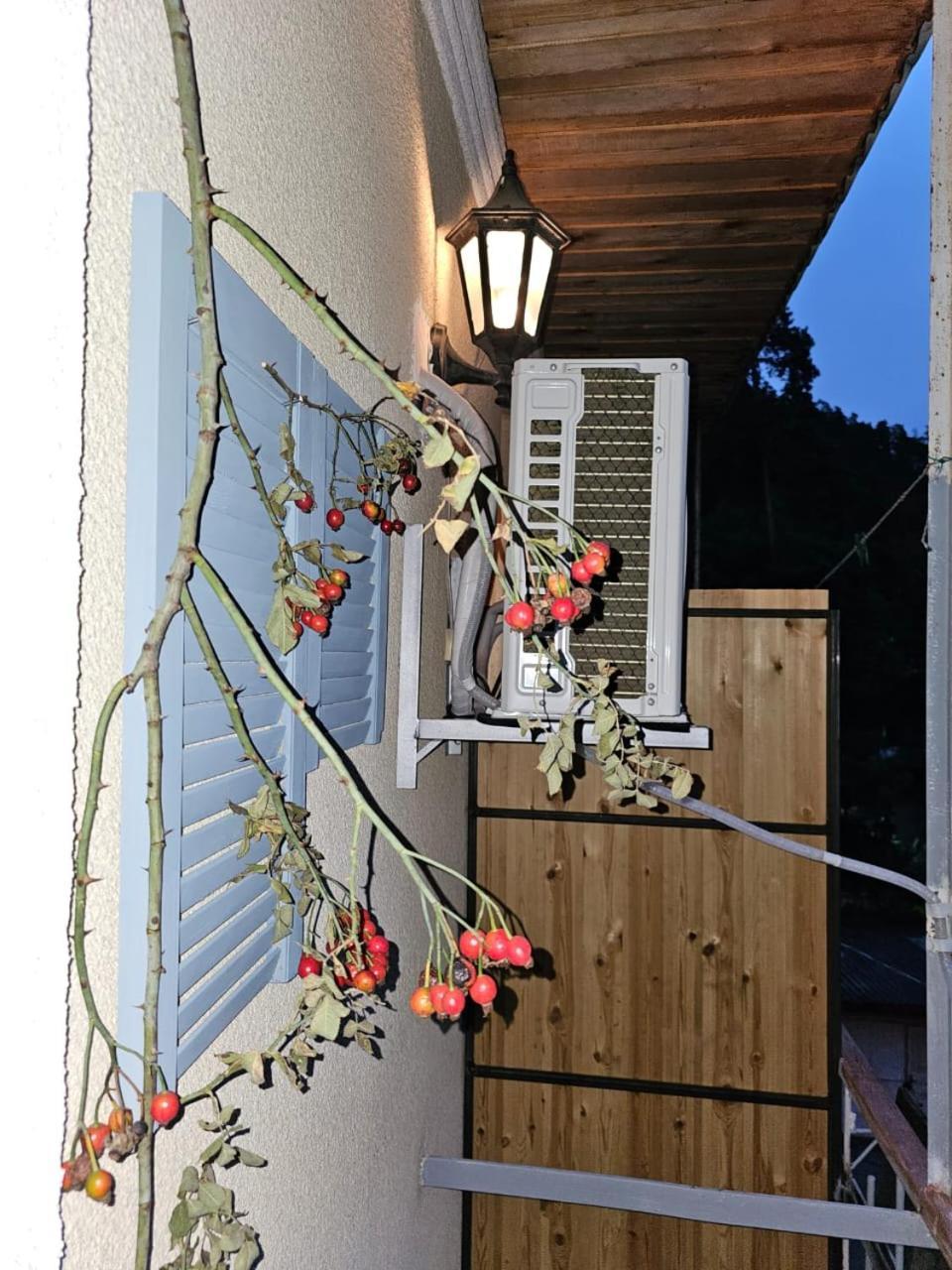 Guest House Likani 2017 Bordzjomi Kamer foto