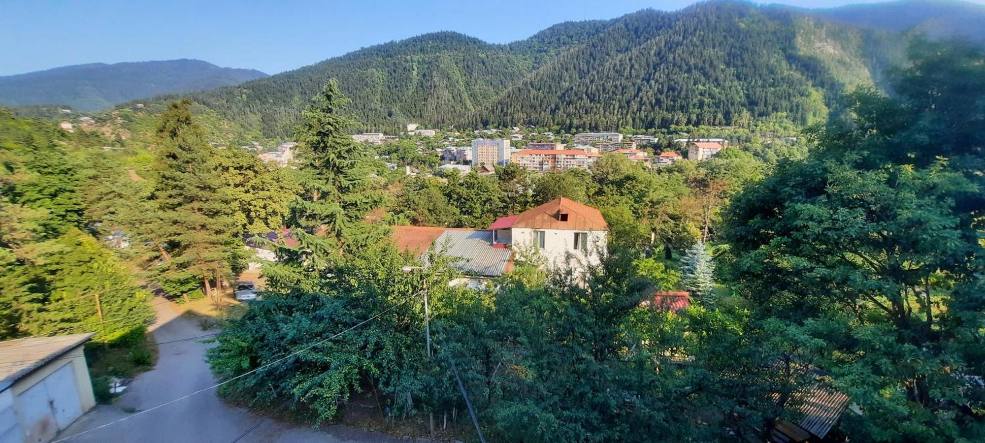 Guest House Likani 2017 Bordzjomi Kamer foto