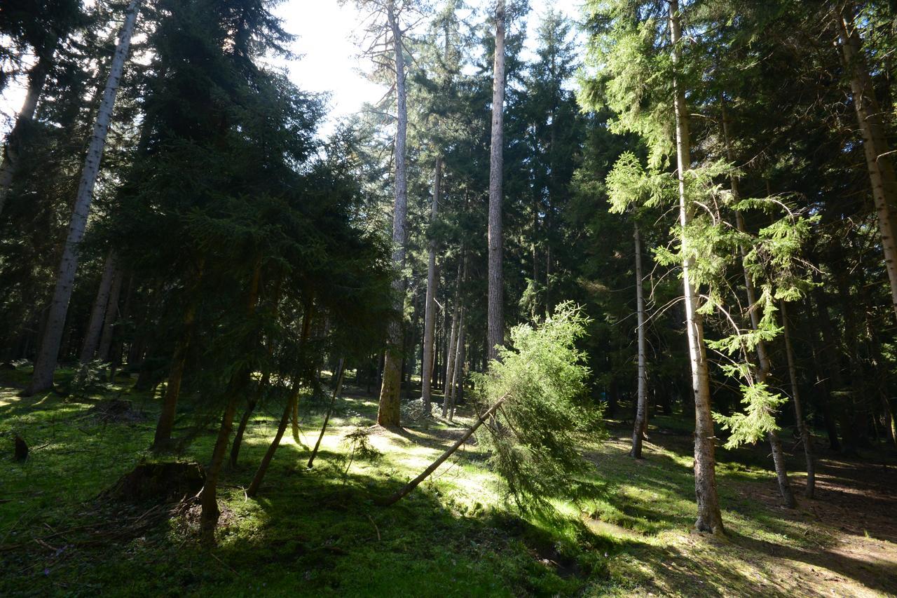 Guest House Likani 2017 Bordzjomi Buitenkant foto