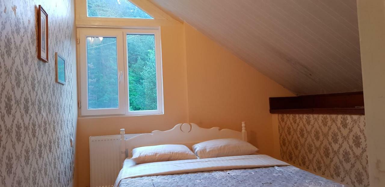 Guest House Likani 2017 Bordzjomi Buitenkant foto