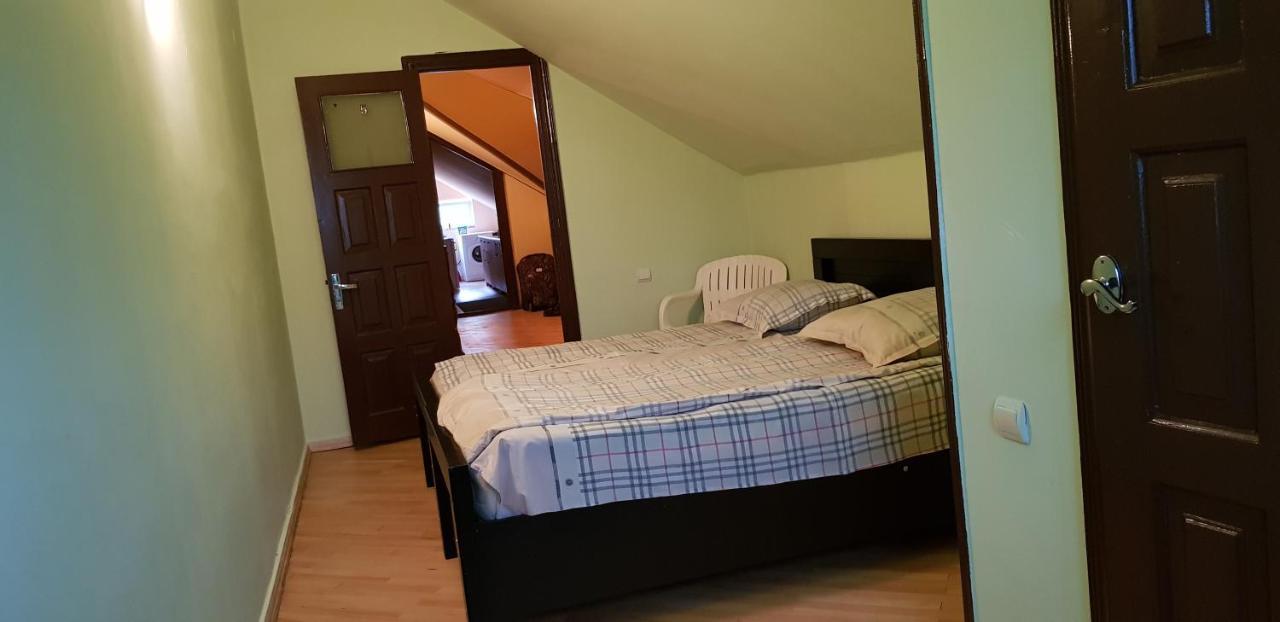 Guest House Likani 2017 Bordzjomi Buitenkant foto